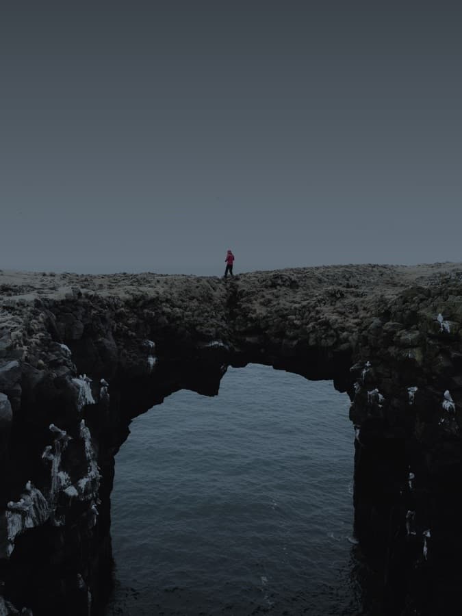 Capa do livro DOX The Crossing